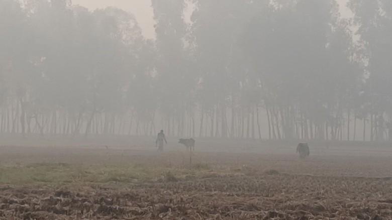 কুড়িগ্রামে আবারও তীব্র শীত, তাপমাত্রা ১৪ ডিগ্রি
