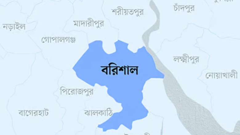 বরিশালের ৬ আসন: ধানের শীষের ৬ প্রার্থীর বিরুদ্ধে লড়ছেন ৩০ প্রতিদ্বন্দ্বী