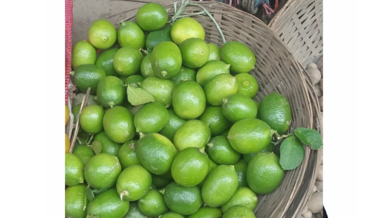শ্রীপুরে লেবুর হালি ১২০, শসা ১০০: রমজানের শুরুতেই অস্থির কাঁচাবাজার