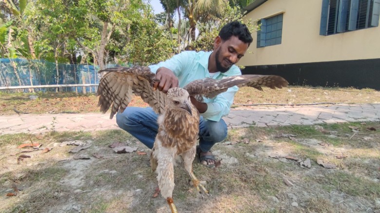 বাগেরহাটে ঘেরের জালে আটকা পড়া আহত ঈগল উদ্ধার