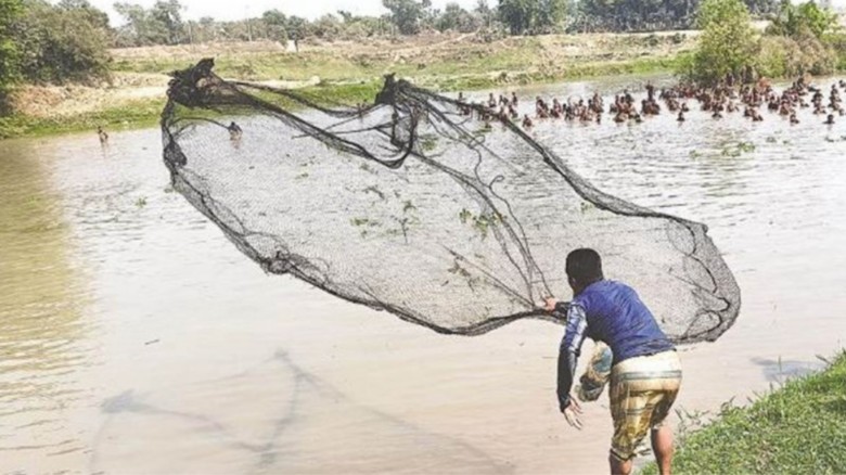 সিরাজগঞ্জে পুকুর নিয়ে বিরোধে আ.লীগ-বিএনপি সংঘর্ষ, নিহত ২