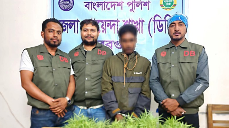 বেতাগীতে ডিবি পুলিশের মাদক অভিযান: ৯টি গাঁজাগাছসহ আটক ১