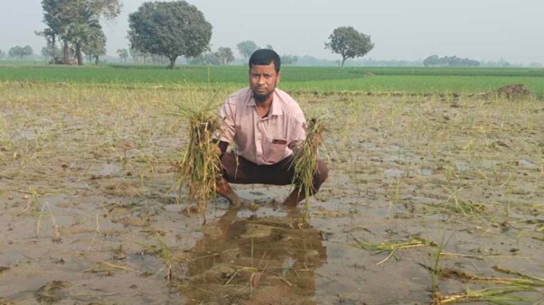 নিয়ামতপুরে অস্ত্র নিয়ে জোরপূর্বক জমি দখল ও ফসল নষ্টের অভিযোগ