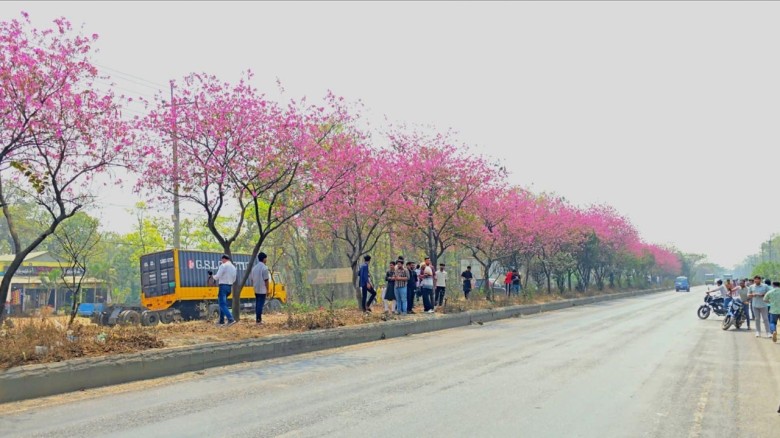 মহাসড়কে বিদেশি ফুলের সমারোহ: মৃত্যুঝুঁকি নিয়ে টিকটক ভিডিও ঠেকাতে পুলিশের টহল