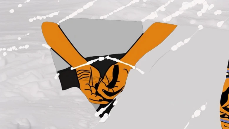 মিয়ানমারে পাচারের সময় ৬ হাজার লিটার ডিজেল জব্দ, গ্রেফতার ১২