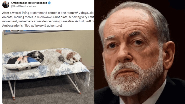 ইরান যুদ্ধের সময় দীর্ঘদিন কুকুরের সাথে কাটিয়েছি: মার্কিন রাষ্ট্রদূত