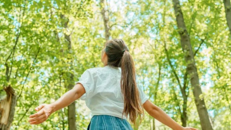 সবুজের সান্নিধ্যে সুস্থতা: কেন প্রকৃতি মন ভালো করে?