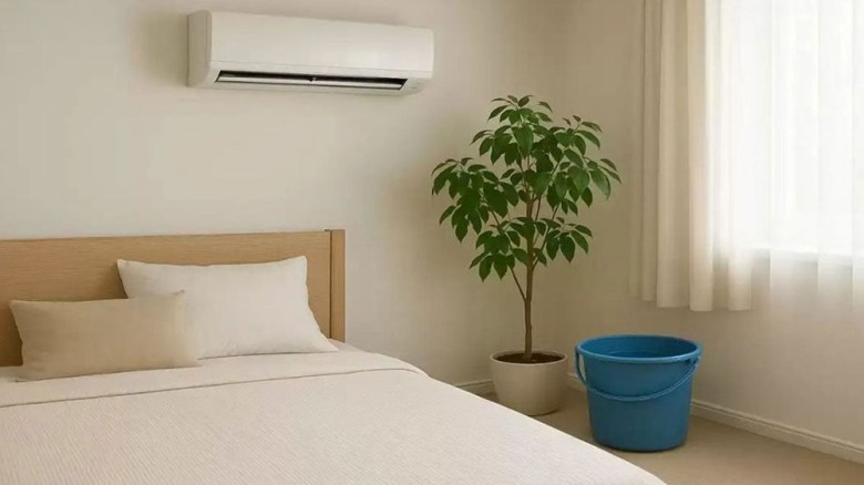 এসি চালানোর সময় রুমে এক বালতি পানি রাখেন তো? জানুন উপকারিতা