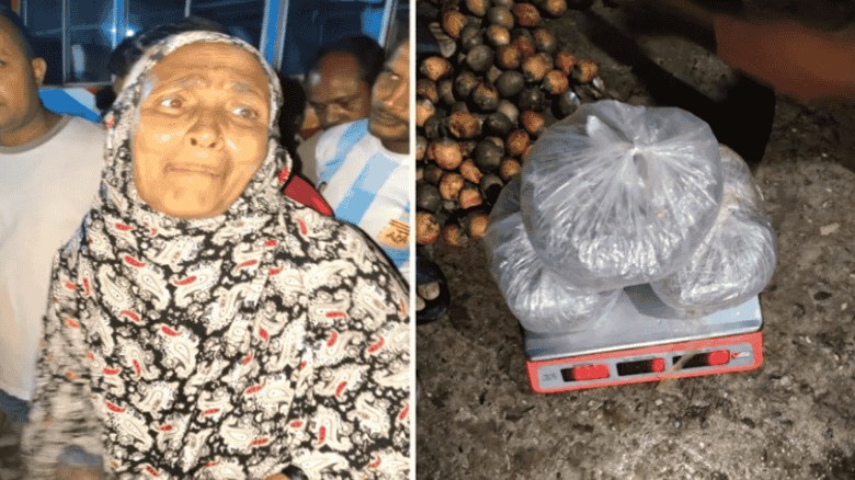 গাঁজা পাচারের সময় নারীসহ আটক ২