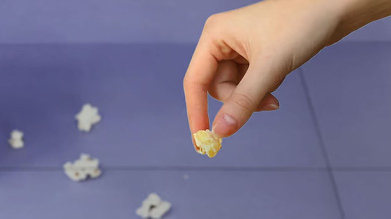 সত্যিই কি মেঝেতে পড়া খাবার পাঁচ সেকেন্ডের মধ্যে তুলে খেলে কিছু হয় না?