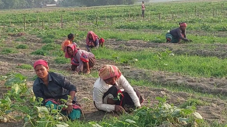 ৩০০ টাকায় ১০ ঘণ্টা খাটুনি, শেষ হয় না রূপসীদের জীবনযুদ্ধ