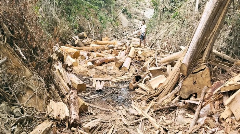আলীকদমে উজাড় হচ্ছে প্রাকৃতিক বন, তীব্র সংকট পানীয় জলের