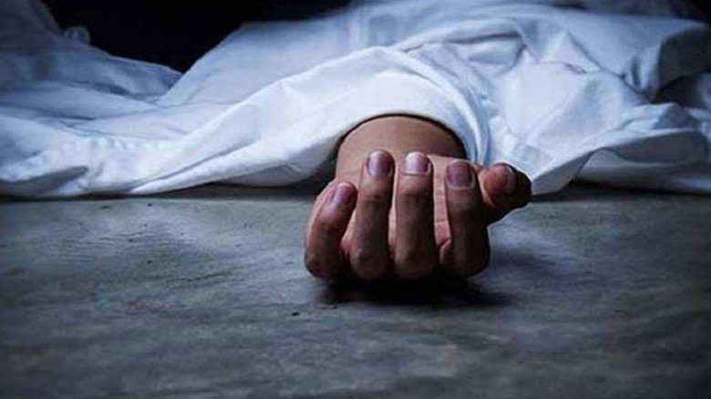 ছোট ভাইয়ের ধাক্কায় প্রাণ গেল বড় ভাইয়ের