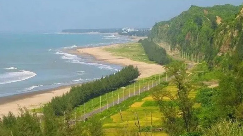গাছ না কেটে মেরিন ড্রাইভ সড়ক প্রশস্তের নির্দেশ প্রধানমন্ত্রীর