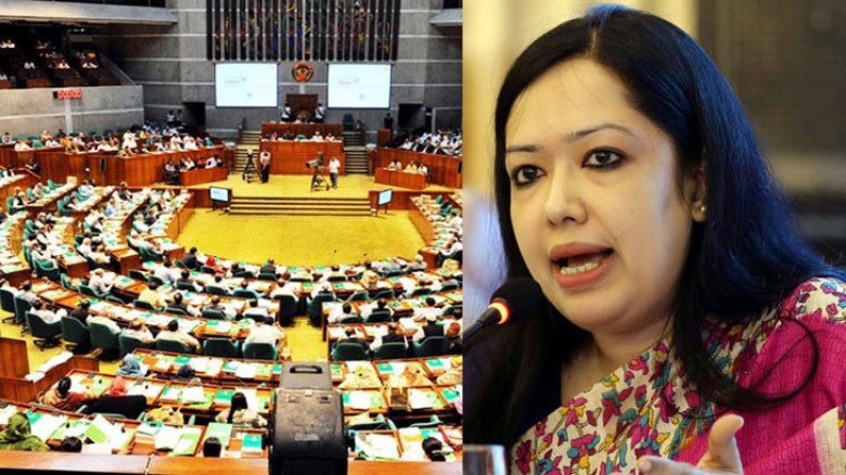 ১৫ বছরে শেয়ার বাজার থেকে ১ লাখ কোটি টাকা লুট: রুমিন ফারহানা