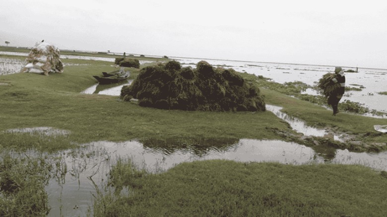 মৌলভীবাজারে পানি কমলেও সুনামগঞ্জে বাড়ছে
