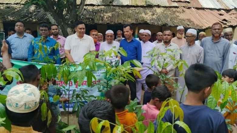 পীরগঞ্জে জেলা পরিষদের বৃক্ষরোপণ ও চারা বিতরণ