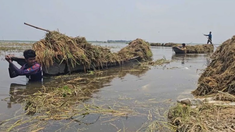 বৃষ্টি আর ঢলে ছয় জেলায় ক্ষতি ৭৩৭ কোটি টাকা