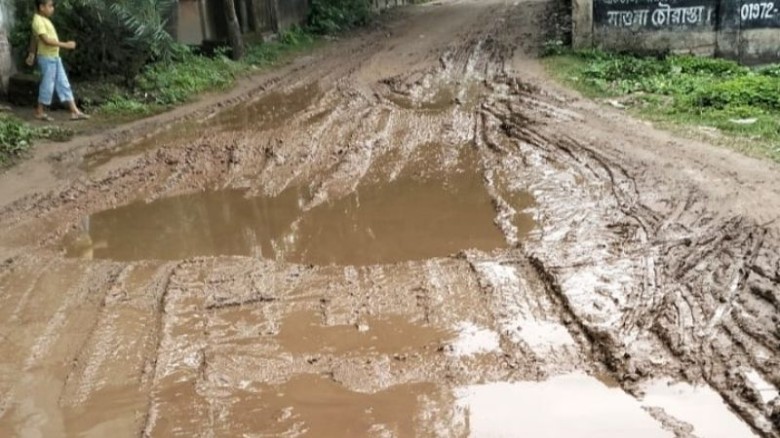 শ্রীপুর-বরমী সড়কের বেহাল দশা