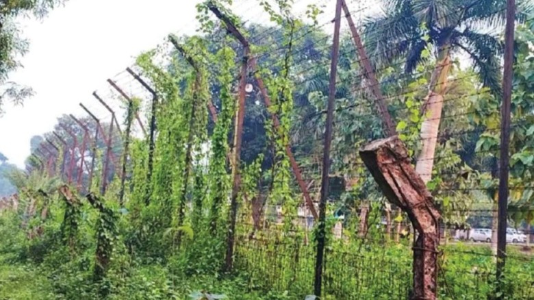 সীমান্তে বিএসএফের গুলিতে দুই বাংলাদেশি নিহত
