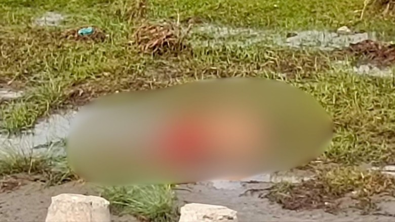 কলাপাড়ায় নদী থেকে নারীর লাশ উদ্ধার