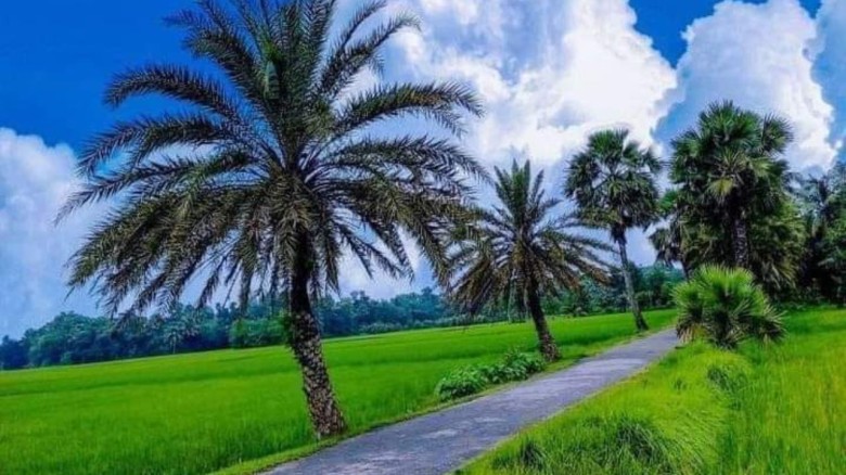মা জননীর কথা