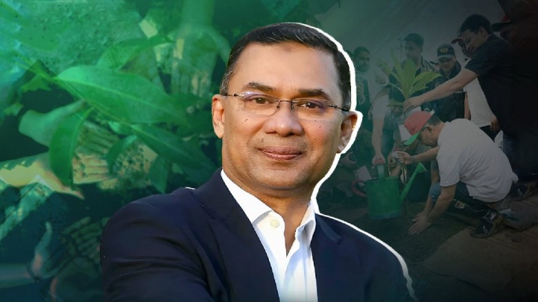 মাটির গুণগত মান ও পরিবেশ উপযোগী বৃক্ষরোপণে জোর প্রধানমন্ত্রীর