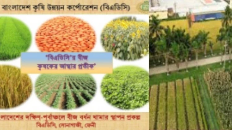 বিএডিসির ‘দক্ষিণ-পূর্বাঞ্চল বীজ বর্ধন খামার প্রকল্প’: কৃষির নতুন শক্তি