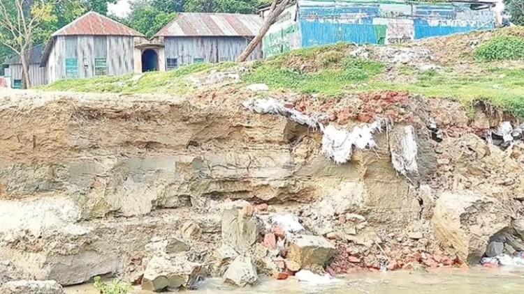 পদ্মায় তীব্র ভাঙন: হুমকিতে ৩ ফেরিঘাট