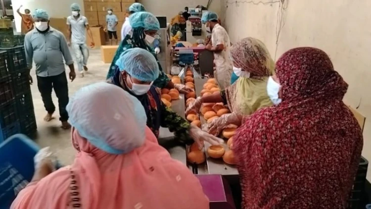 বোচাগঞ্জের ১২০ স্কুলে যাচ্ছে আয়শা ফ্যাক্টরির বনরুটি