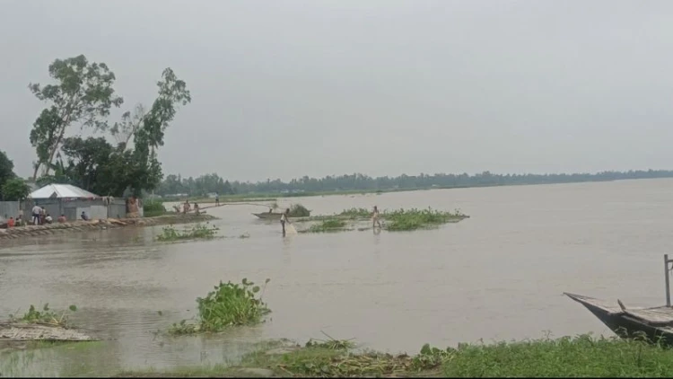 গজলডোবার সব গেট খোলায় তিস্তায় বন্যা আতঙ্ক