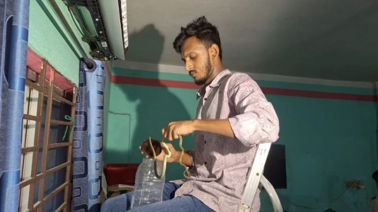 এসির ভেতরে মিললো দুই জোড়া কালনাগিনী
