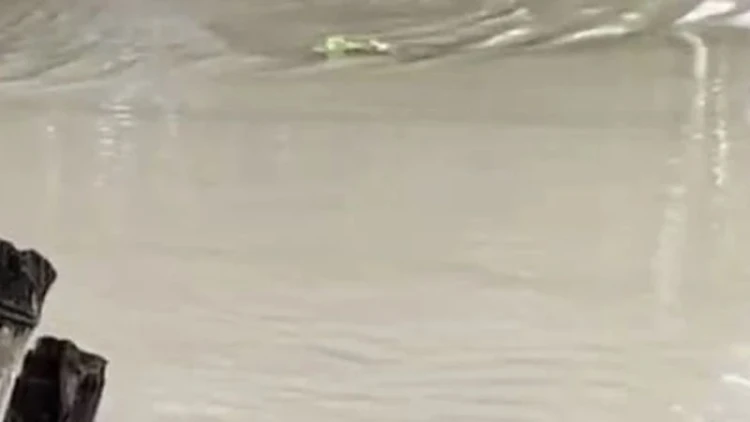 তিস্তার পানি বিপৎসীমার ওপরে, বন্যার আশঙ্কা