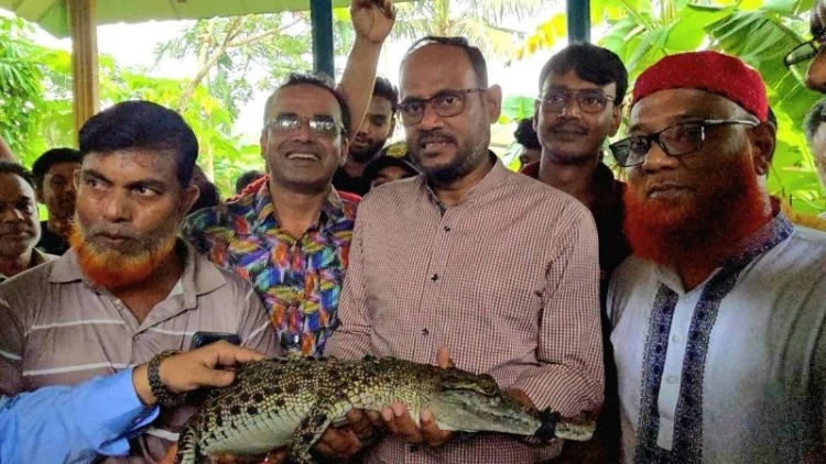 ভালুকায় কুমির খামার পরিদর্শন প্রাণিসম্পদ প্রতিমন্ত্রীর