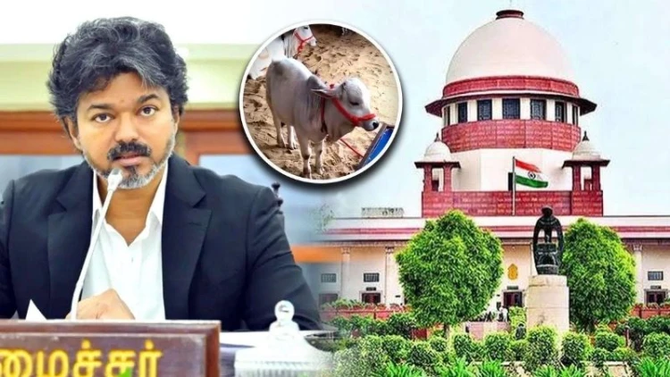 থালাপতি সরকারের পিটিশন: তামিলনাড়ুতে গরু জবাইয়ের অনুমতি বহাল