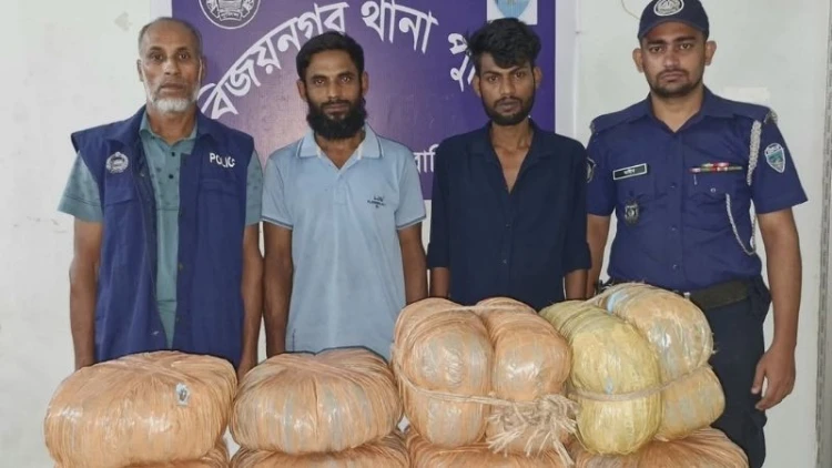 বিজয়নগরে গাঁজাসহ গ্রেপ্তার ২