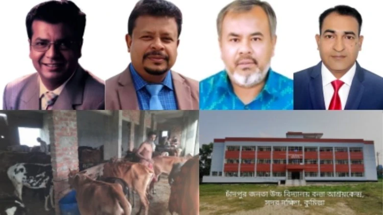 বন্যা আশ্রয় কেন্দ্র নির্মাণ: নিরাপদ আশ্রয়ের নতুন দিগন্ত
