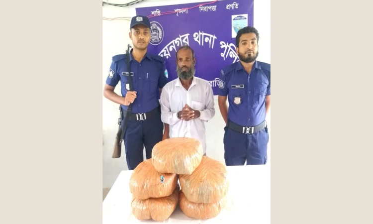 বিজয়নগরে ১০ কেজি গাঁজাসহ মাদক কারবারি গ্রেপ্তার