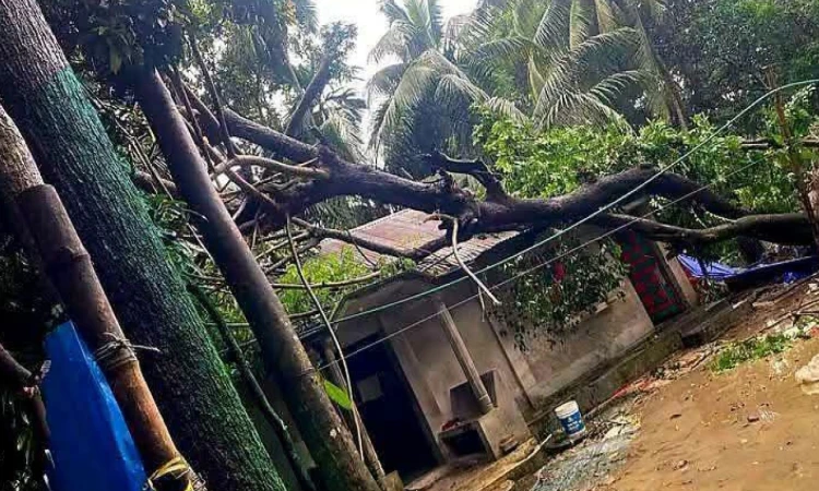 সোনাগাজীতে এক মিনিটের টর্নেডোর তাণ্ডবে ৩০ পরিবার লন্ডভন্ড