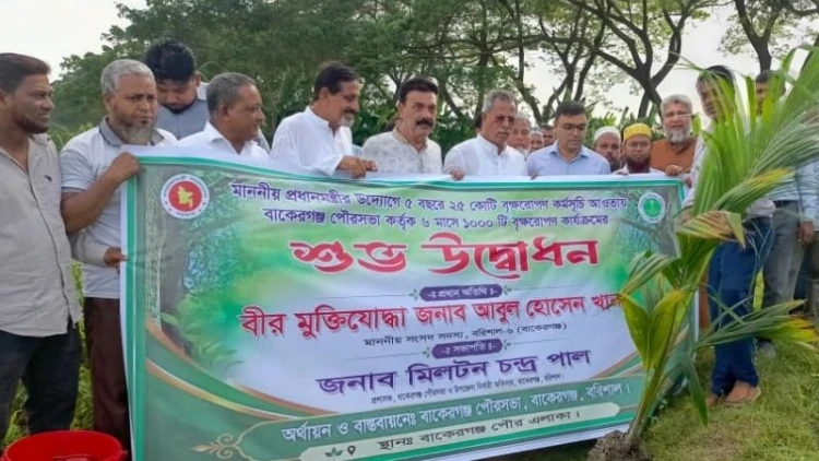 বাকেরগঞ্জে পৌরসভার উদ্যোগে বৃক্ষরোপণ কর্মসূচির উদ্বোধন