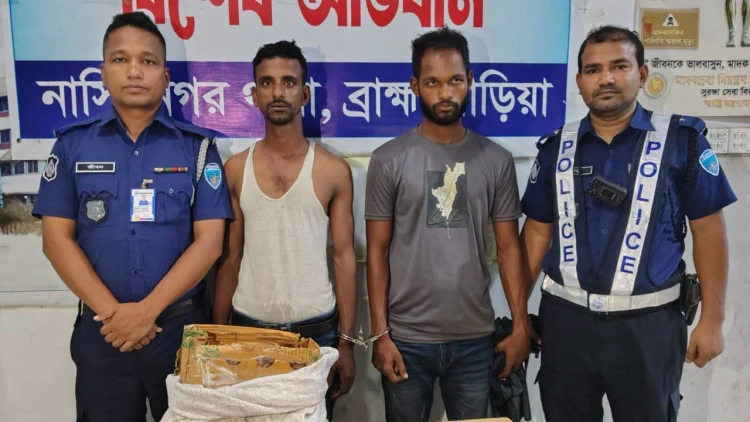 নাসিরনগরে দুই মাদক কারবারি আটক