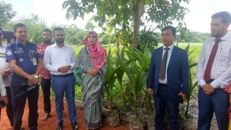 বেতাগীতে ৩ কিমি খালে বৃক্ষরোপণ কর্মসূচি