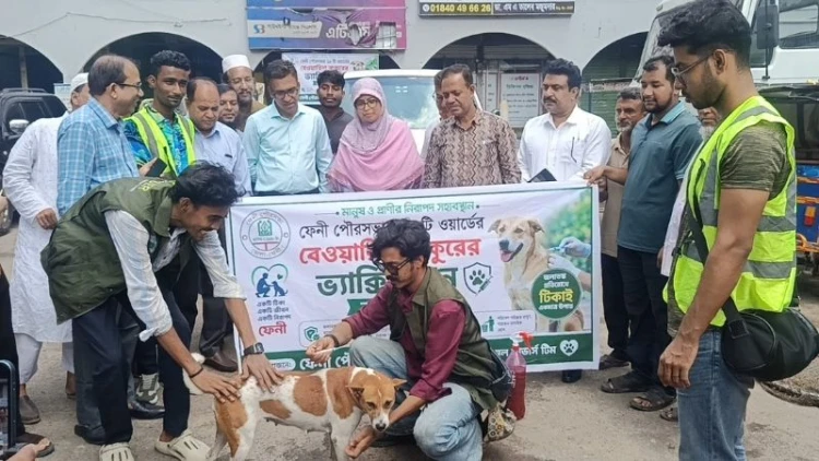 ফেনী পৌরসভায় কুকুরকে জলাতঙ্কের টিকাদান শুরু