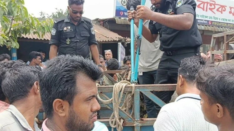 ভালুকায় ২৯ কেজি গাঁজাসহ চালক আটক