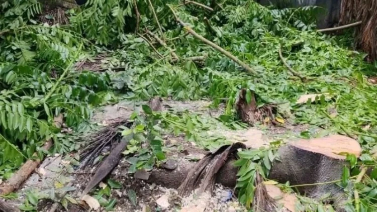 শিবির সভাপতির বিরুদ্ধে জমি দখলের অভিযোগ