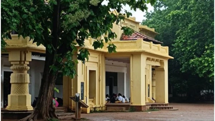বাড়ি ঠাণ্ডা রাখতে ও পাখি পাঠাতে ১০টি উপকারী গাছের তালিকা