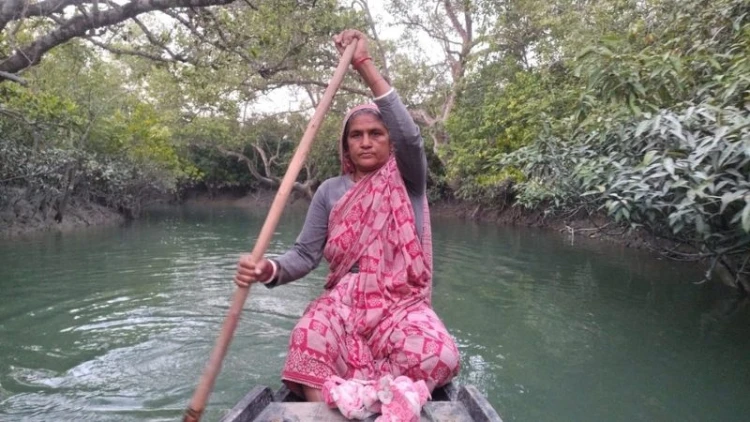 প্রাকৃতির সাথে যুদ্ধ করে বেঁচে আছেন সুন্দরবনের বনজীবীরা