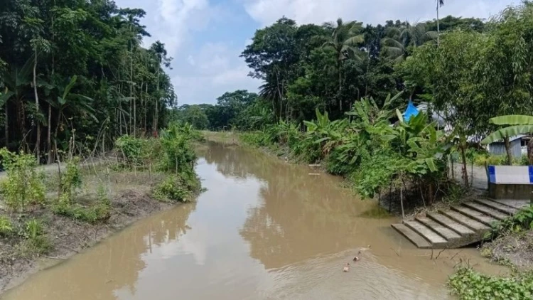 আমতলীতে খাল খনন প্রকল্পে ব্যাপক অনিয়মের অভিযোগ