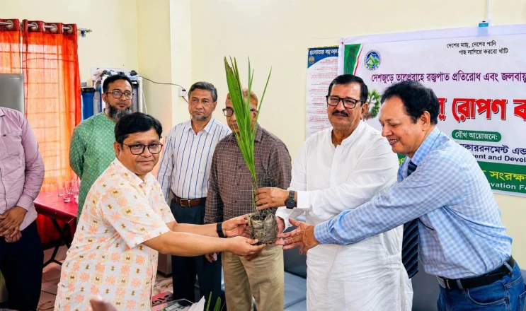 রাজশাহীতে ১ হাজার তালগাছের চারা রোপণ কর্মসূচির উদ্বোধন করলেন ভূমিমন্ত্রী
