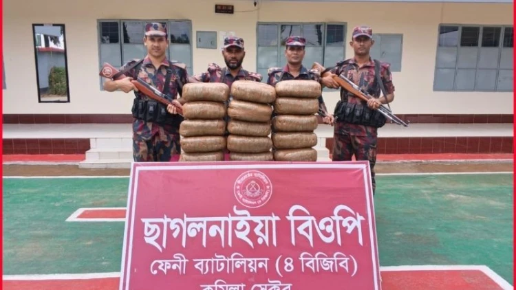 ফেনীতে ভারতীয় শাড়ি ও গাঁজা উদ্ধার